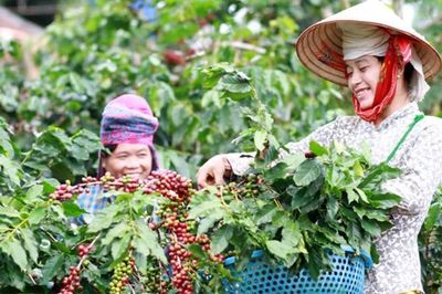 Xuất khẩu nông, lâm, thủy sản vượt 23 tỷ USD