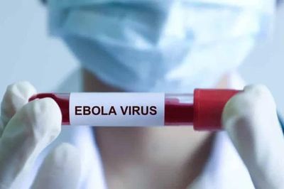 Hơn 80 ca tử vong nghi do nhiễm virus Ebola ở Congo, Bộ Y tế ra thông báo khẩn