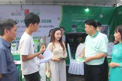Cầu nối đưa sinh viên đến gần thị trường lao động