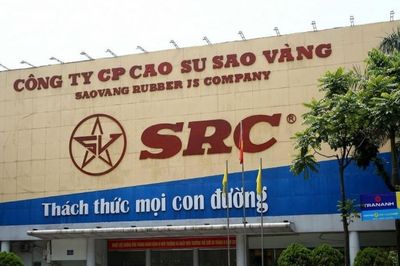 CTCP Cao su Sao Vàng chuẩn bị phát hành hơn 8 triệu cổ phiếu tăng vốn điều lệ