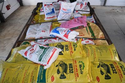 Triệt phá đường dây buôn lậu caffeine quy mô lớn, xuyên quốc gia