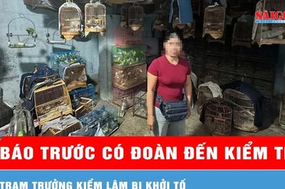 Báo trước có đoàn đến kiểm tra, trạm trưởng kiểm lâm bị khởi tố