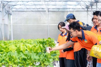 TP Hồ Chí Minh muốn 100% mẫu rau sản xuất được kiểm tra đạt tiêu chuẩn an toàn