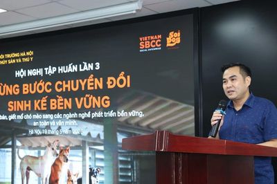Dừng hoạt động giết mổ chó mèo: Bước tiến về nhận thức, phòng chống bệnh dại