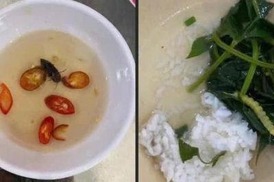 Sở Y tế TP Huế thông tin kết quả xác minh phản ánh 'canh rau có sâu'