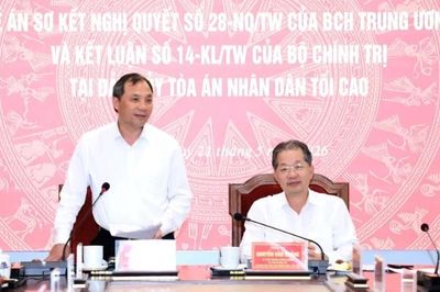 Ngành tòa án tiếp tục đổi mới phương thức lãnh đạo của Đảng đối với hoạt động tư pháp