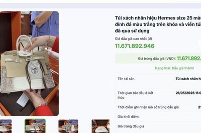 Túi Hermes bà Trương Mỹ Lan từng nói 'giá trị không đáng bao nhiêu', đấu giá thu về hơn 14 tỉ đồng