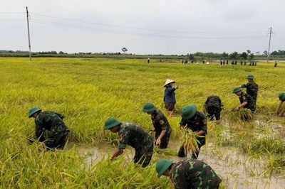 Sạt lở, ngập úng diện rộng ở Phú Thọ sau đợt mưa lớn kéo dài