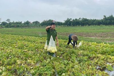 Công an xã Cao Đức hỗ trợ người dân thu hoạch nông sản trong mưa lớn
