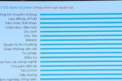 Sơn La công bố kết quả Chỉ số năng lực cạnh tranh cấp sở, ban, ngành và địa phương (DCCI) năm 2025