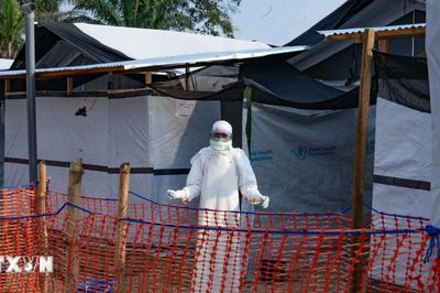 Thêm nhiều nước hạn chế đi lại tới khu vực bùng phát virus Ebola