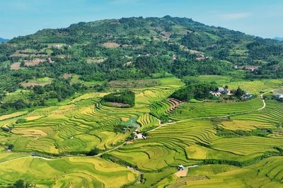 Quy chế hoạt động của BCĐ Trung ương Chương trình MTQG xây dựng nông thôn mới, giảm nghèo bền vững và phát triển KTXH vùng DTTS&MN
