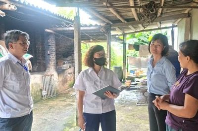 Các xã: Phượng Dực, Phú Xuyên cần rà soát, đề xuất cụ thể điểm giết mổ tập trung tạm thời