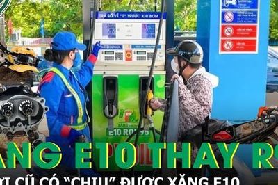 Xăng E10 thay R95: Xe đời cũ, máy cắt cỏ, máy bơm phun thuốc có 'chịu' được xăng E10?