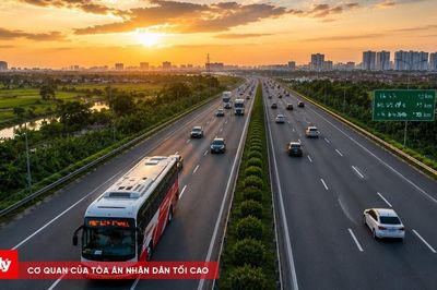 Khi chủ xe tiếp tay cho vi phạm giao thông