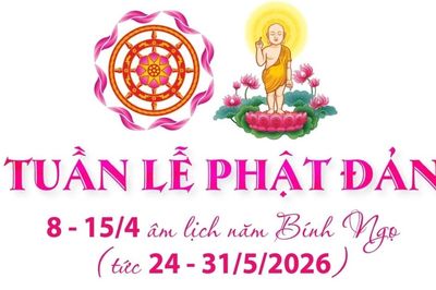 Thông tin về các hoạt động trong tuần lễ Phật đản