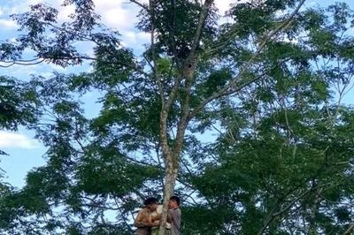 Công an xã Nật Sơn kịp thời cứu người dân trong tình huống đặc biệt nguy hiểm