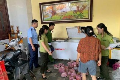 Phát hiện, thu giữ 290 cá thể cò hương đã qua sơ chế, chuẩn bị đưa đi tiêu thụ