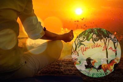 Tâm viên ý mã và Vipassana