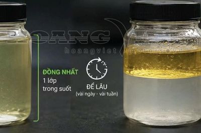 Dùng thiết bị chống tách lớp xăng E10 có hiệu quả?