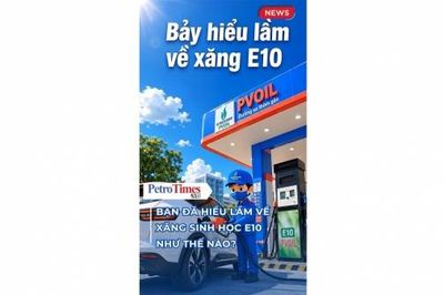 [VIDEO] Bạn đã hiểu lầm về xăng sinh học E10 như thế nào?