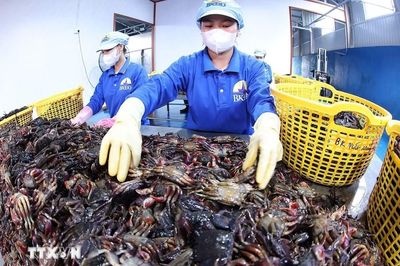 Hỗ trợ 25.000 doanh nghiệp, hộ kinh doanh, HTX kinh doanh bền vững