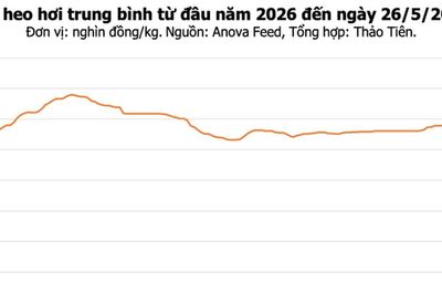 Giá heo hơi hôm nay 26/5: Tăng nhẹ tại Bắc Ninh và Khánh Hòa, mức cao nhất 70.000 đồng/kg