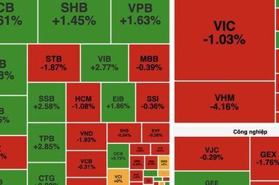 VN-Index giảm gần 10 điểm dù ngân hàng giữ nhịp