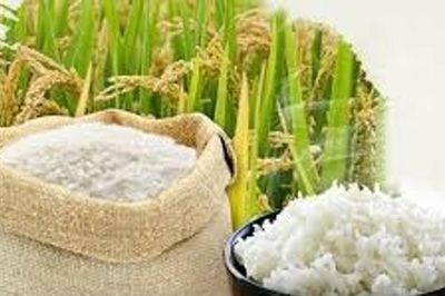 Giá lúa gạo ngày 27/5: Gạo nguyên liệu giảm 100 đồng/kg, lúa chất lượng cao đi ngang
