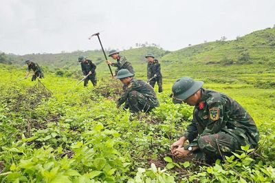 Giữ màu xanh trên thao trường, vùng biên