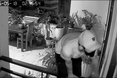 Mở cửa cho mát đêm hè, coi chừng 'mở lối' cho trộm đột nhập