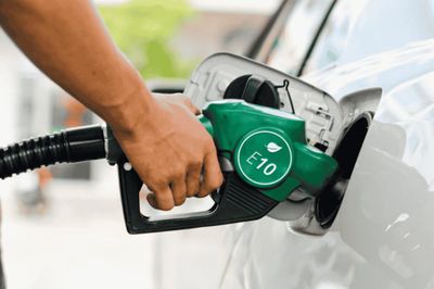 Xe nào tương thích với xăng E10?