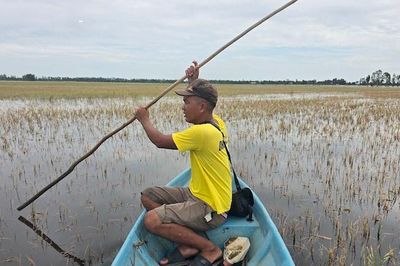 Nông dân bắt đầu 'phòng thân' trước rủi ro khí hậu bằng bảo hiểm và tín dụng xanh