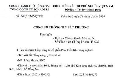 Trưởng Ban Kiểm soát của Tổng Công ty Sonadezi bị khởi tố