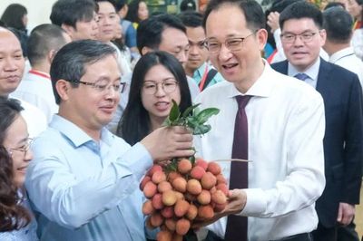 Bắc Ninh thúc đẩy chuỗi liên kết, nâng cao giá trị vải thiều