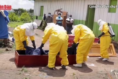 [Video] WHO hỗ trợ CHDC Congo mở rộng quy mô xét nghiệm virus Ebola