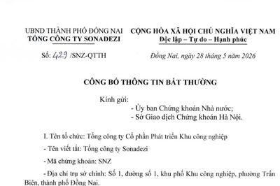 Đồng Nai: Bắt trưởng ban kiểm soát Tổng công ty Sonadezi