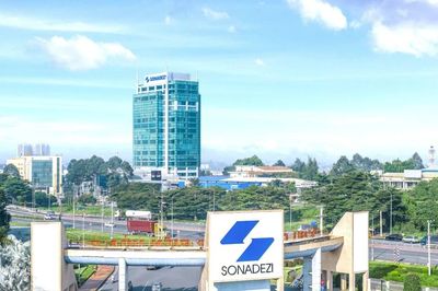 Sonadezi thông tin việc trưởng ban kiểm soát doanh nghiệp bị khởi tố
