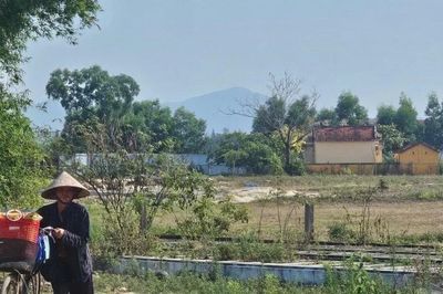 Đà Nẵng ban hành đơn giá bồi thường mới