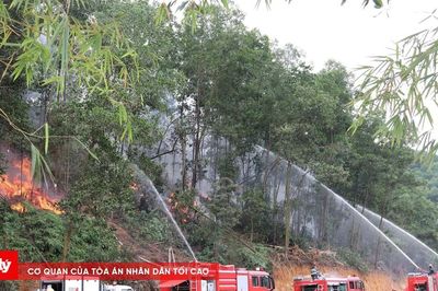 Nguy cơ cháy rừng tăng cao, Hà Nội kích hoạt nhiều biện pháp ứng phó