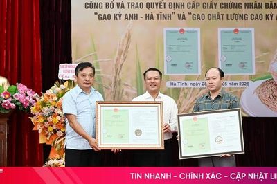 Mở ra cơ hội nâng cao giá trị cho gạo Kỳ Anh - Hà Tĩnh