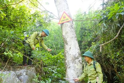 Nghệ An: Kiểm lâm căng mình giữ rừng giữa nắng nóng hơn 40 độ C