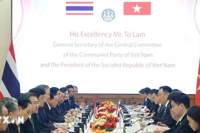Tổng Bí thư, Chủ tịch nước Tô Lâm hội đàm với Thủ tướng Thái Lan Anutin Charnvirakul
