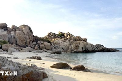 Hòn Cau - 'viên ngọc xanh' giữa biển khơi hút bước chân du khách