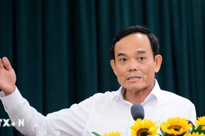 Thành ủy Thành phố Hồ Chí Minh cho ý kiến đối với dự thảo Luật Đô thị đặc biệt