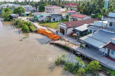 Cần Thơ tìm lời giải căn cơ cho bài toán sạt lở
