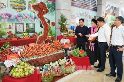 Bắc Ninh xúc tiến tiêu thụ vải thiều và nông sản chủ lực