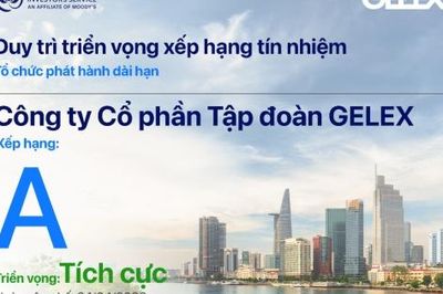 Quý 1/2026: GELEX lãi 806 tỷ đồng, tăng 24,9% so với cùng kỳ