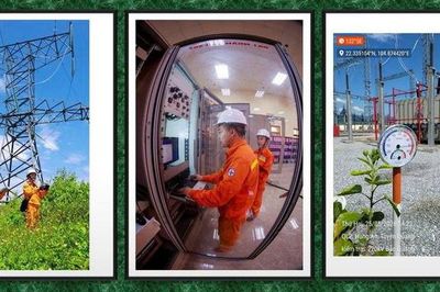 Thợ truyền tải trực chiến giữa nắng nóng để giữ dòng điện ổn định