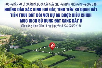 Hướng dẫn xác định giá đất, tính tiền sử dụng đất, tiền thuê đất đối với dự án được điều chỉnh mục đích sử dụng đất sang đất ở